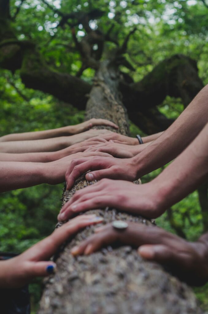 Corporate Social Responsibility (CSR) - Aurora Concept